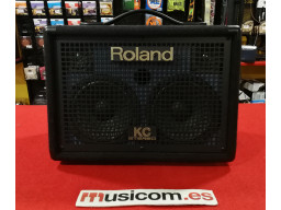 ROLAND KC 110